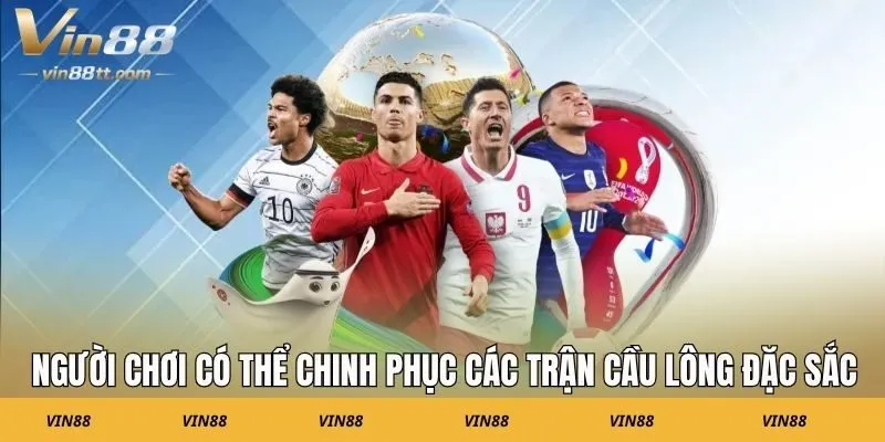 Người chơi có thể chinh phục các trận cầu lông đặc sắc