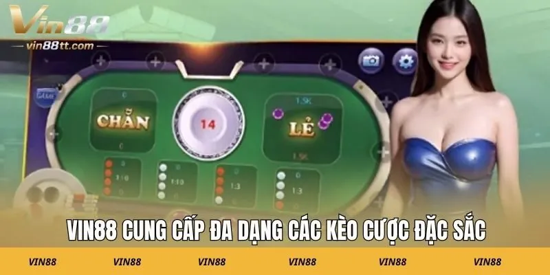 VIN88 cung cấp đa dạng các kèo cược đặc sắc